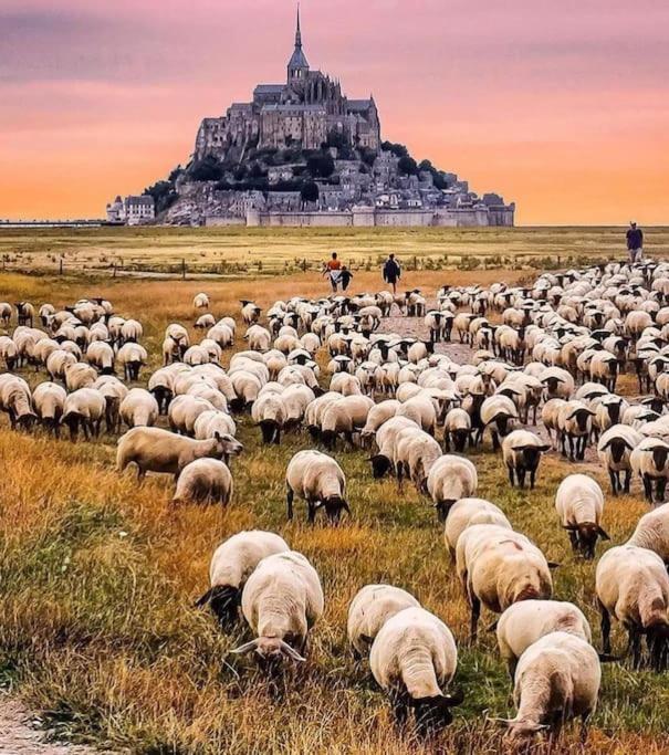 Le Refuge Marin *